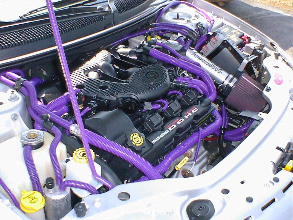 purpleloomz1.jpg
