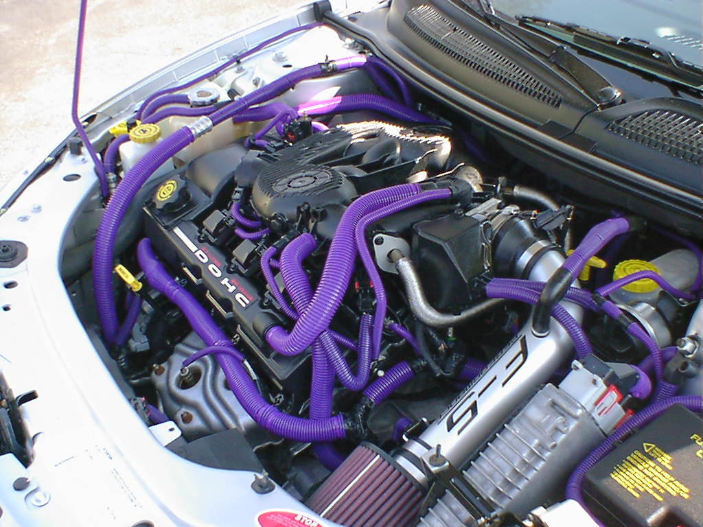 purpleloomz2.jpg